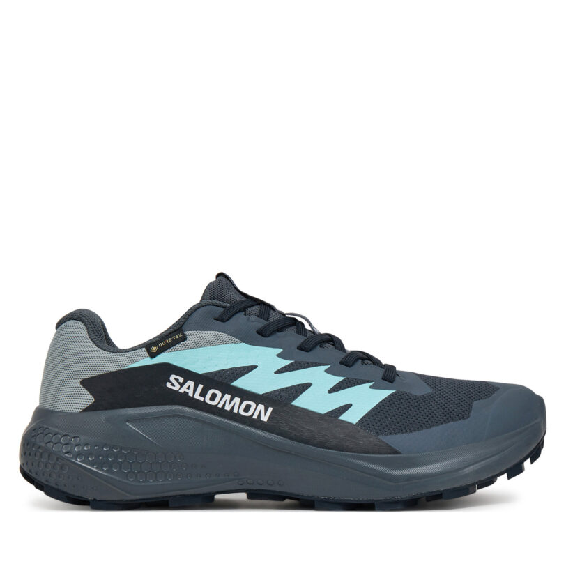 Маратонки за бягане Salomon Alphaglide Gore-Tex L47802500 Сив цвят на ниска цена