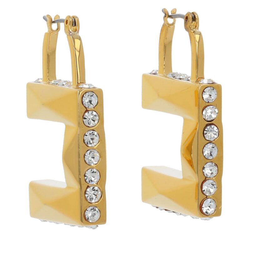 Обици Elisabetta Franchi OR-05M-41E2-V170 Златист цвят на ниска цена