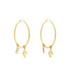 Обици Elisabetta Franchi OR-48A-51E2-V200 Златист цвят на ниска цена
