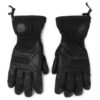 Ръкавици за ски Black Diamond Patrol Gloves BD801419 Черен цвят на ниска цена