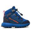 Туристически Helly Hansen 11909 Син цвят на ниска цена