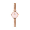 Часовник Daniel Wellington DW00100743 Златист цвят на ниска цена