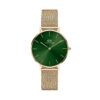 Часовник Daniel Wellington Petite DW00100480 Златист цвят на ниска цена