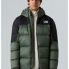 Пухено зимно яке Diablo 2.0 за хайкинг The North Face