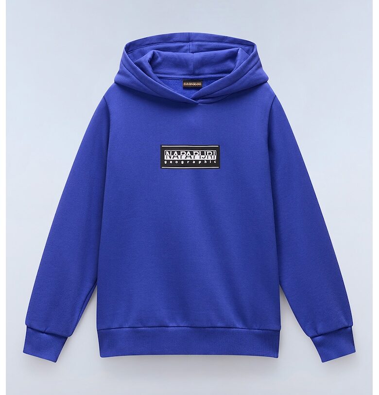 Худи Chamois с пришито лого Napapijri