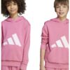 Худи с лого adidas Sportswear