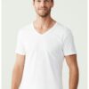 Шпиц тениски - 2 броя US Polo Assn