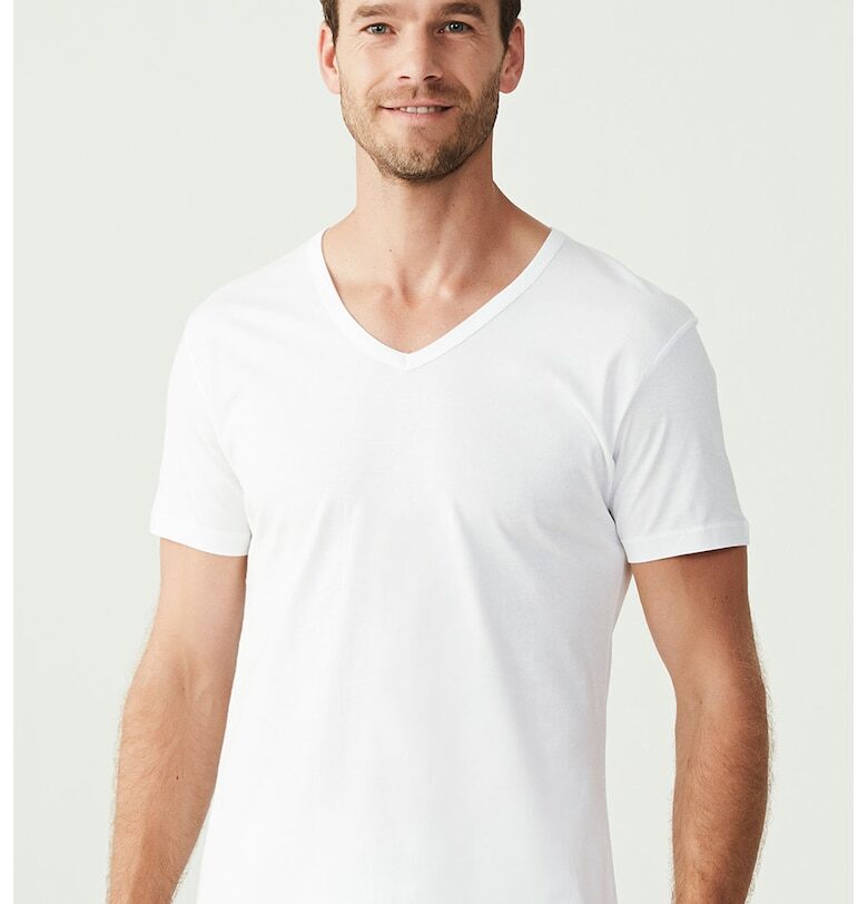 Шпиц тениски - 2 броя US Polo Assn