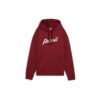 Ess+ Script Hoodie Fl 68153413 Puma
