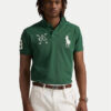 Polo Ralph Lauren Тениска с яка и копчета 710978082001 Зелен Custom Slim Fit цвят на ниска цена