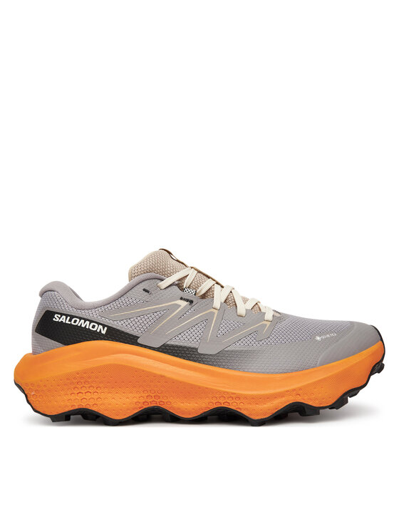 Salomon Маратонки за бягане Ultra Flow 2 Gore-Tex L47884200 Сив цвят на ниска цена
