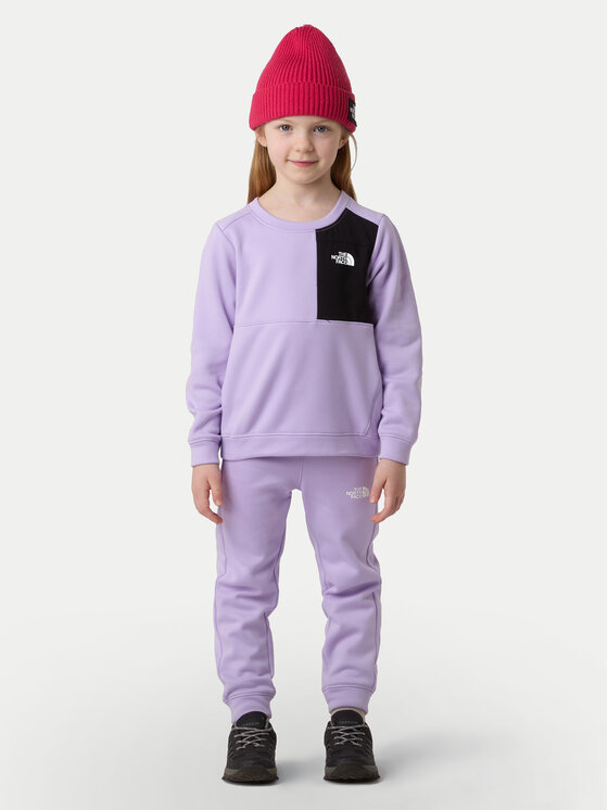 The North Face Анцуг Performance NF0A8CV0 Виолетов Regular Fit цвят на ниска цена