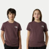 The North Face Тишърт Simple Dome NF0A87T4 Кафяв Regular Fit цвят на ниска цена