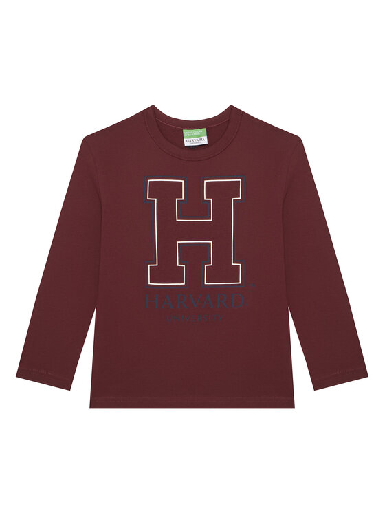 United Colors Of Benetton Блуза 3IVWC10PW Бордо Regular Fit цвят на ниска цена