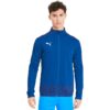 Мъжко яке  Teamgoal 23 Training Jacket 65656102 Puma