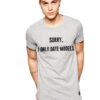 Сива мъжка тениска - Съжалявам - излизам само с модели THEICONIC