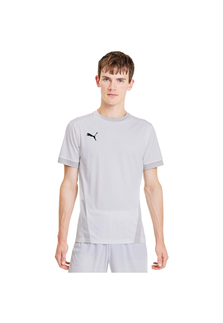 Мъжка тениска Teamgoal 23 Jersey Puma