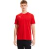 Тениска  Teamgoal 23 Casuals 2-Pack Puma