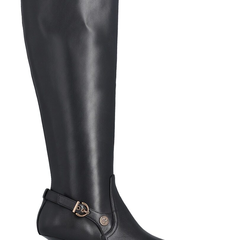 Ботуши до коляното с остър връх Pinko