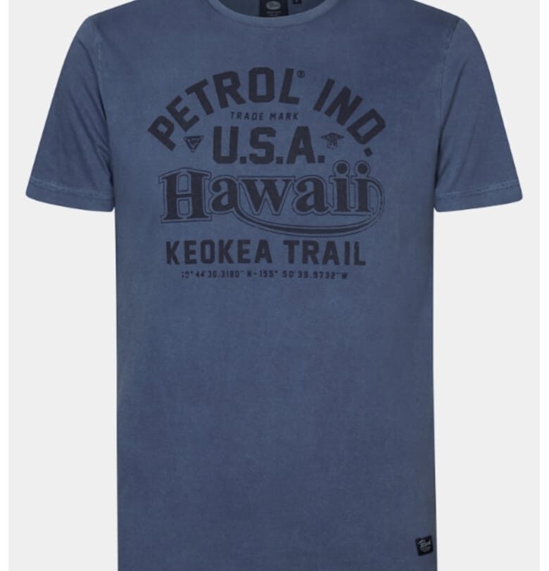 Мъжка тениска -  303710330 - Памук - Син Petrol Industries