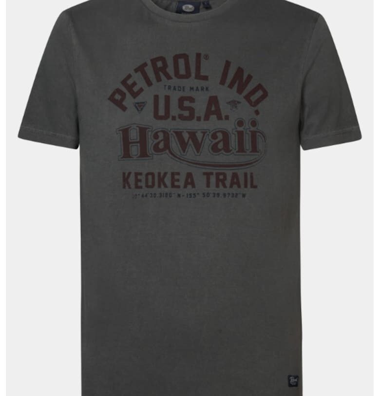 Мъжка тениска -  303710347 - Памук - Сив Petrol Industries