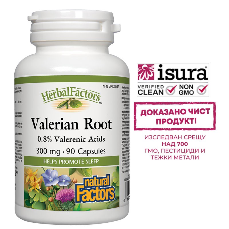 При нервно напрежение - Валериана (корен)