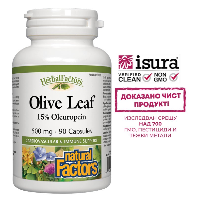 Olive Leaf / Маслина (лист) 500 mg х 90 капсули Natural Factors
