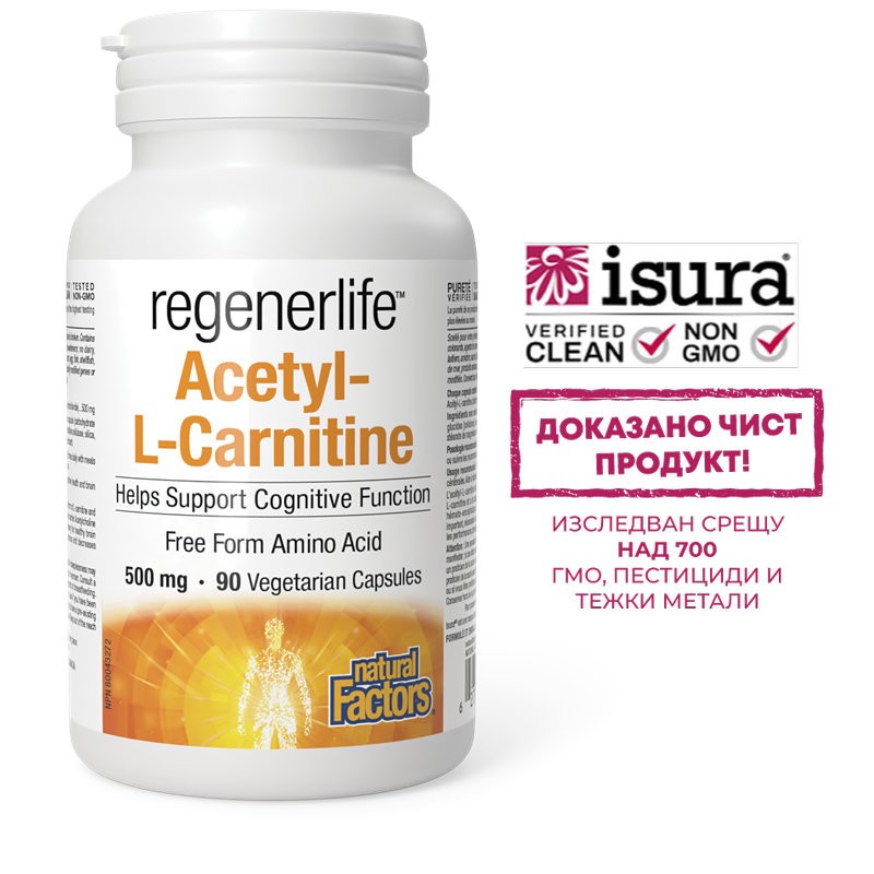 Ацетил-Л-карнитин – мозъчна функция