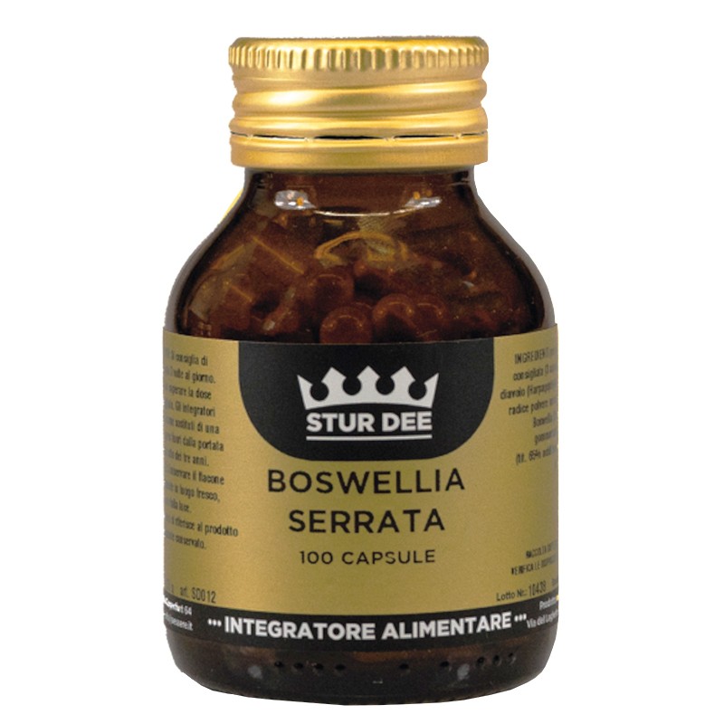 Босвелия 100 mg + Дяволски нокът 170 mg – Здрави и подвижни стави