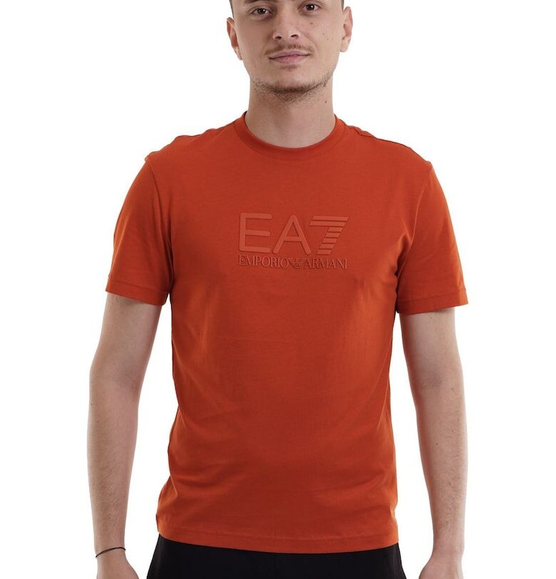 Мъжка тениска Emporio Armani  7M000224AF10375U3012 EA7