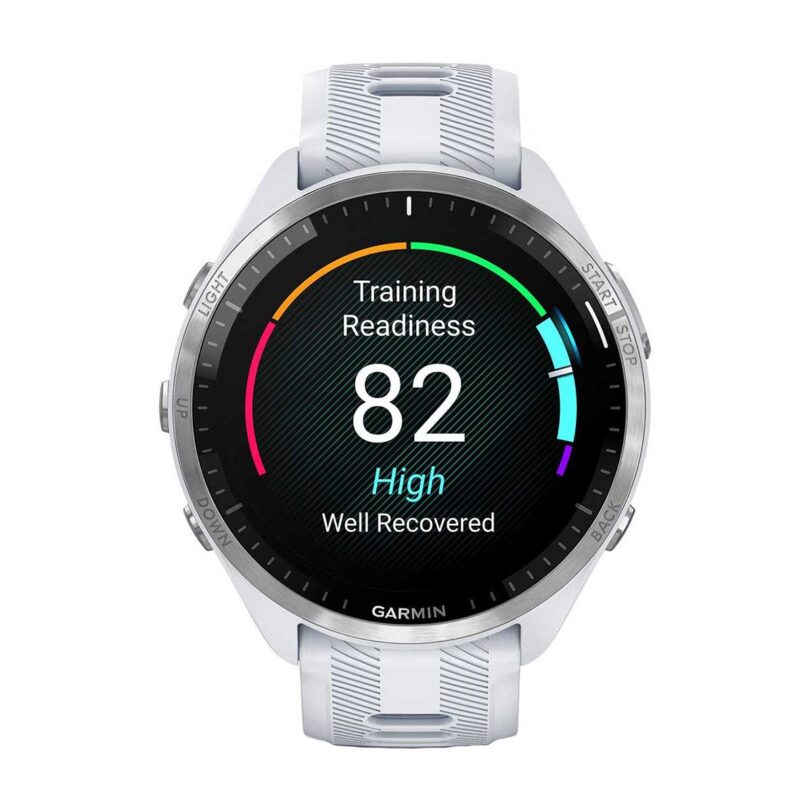 Оригинален Мъжки Смарт часовник Garmin Forerunner 965 Whitestone/Powder Grey 010-02809-11