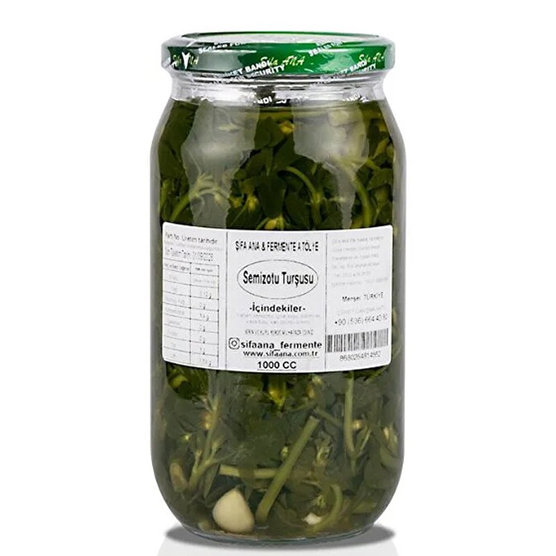 Туршия от тлъстига (тученица) – Богата на фибри за добро храносмилане