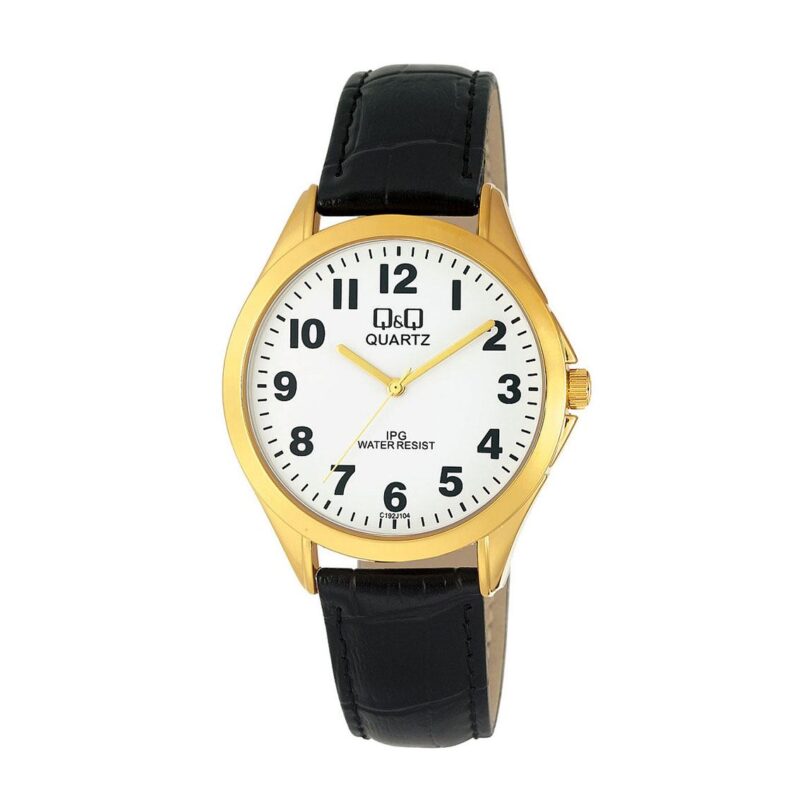 Оригинален Мъжки Часовник Q&Q C192J104Y