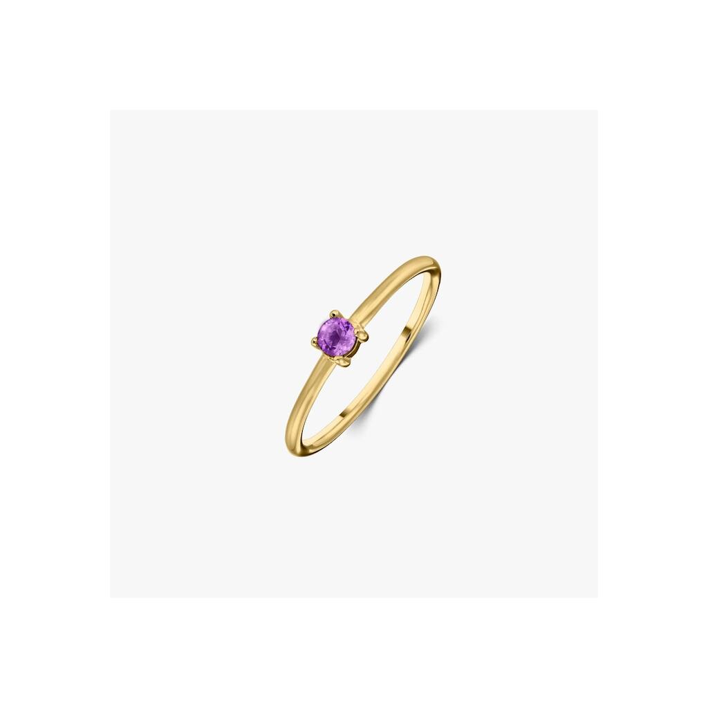 Inel din argint Birthstone Golden February - Ametist